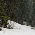 Nevada County, the Othello site, in deep snow.