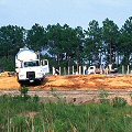 Santa Rosa County, a marvelous Sarracenia savannah being reduced to a muddy construction site.