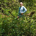 Greenville County, a site where S. jonesii is being reintroduced (legally!) by conservation workers.