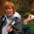 Beth and Phill with western rosellas, Western Australia.