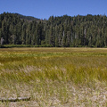Plumas County, an important site in Lassen Volcanic National Monument.