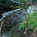 Greenville County,  water sheets over the rock at this Sarracenia purpurea var. montana site.