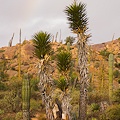 Baja California, MX